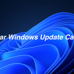 Clear Windows Update Cache